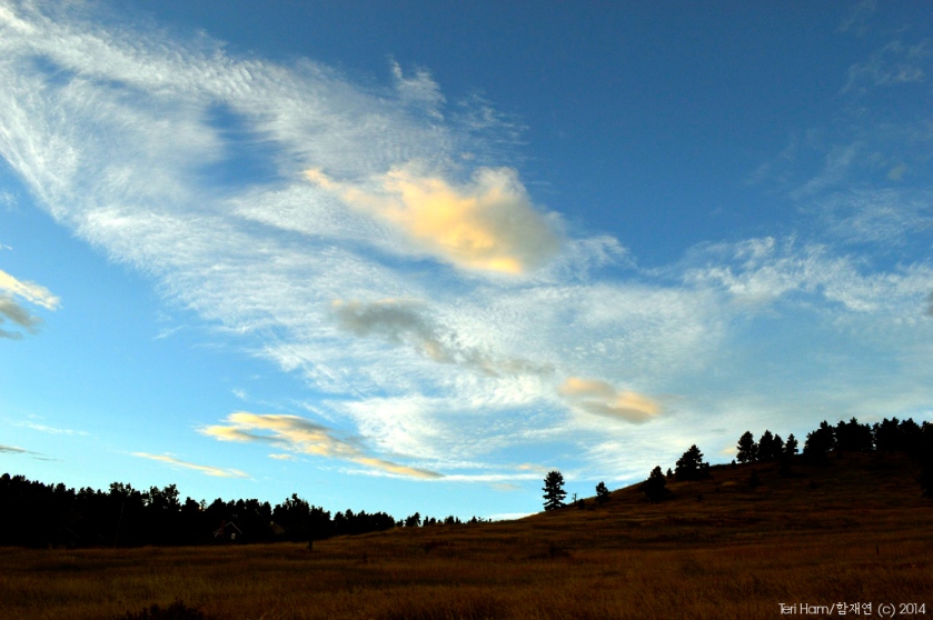 Chautauqua Meadow Park Boulder CO naldaOutdoors Teri Ham nalda blog